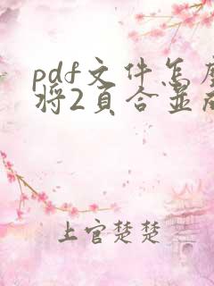 pdf文件怎么将2页合并成一页打印