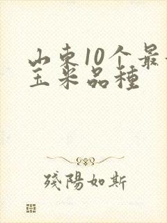 山东10个最好玉米品种