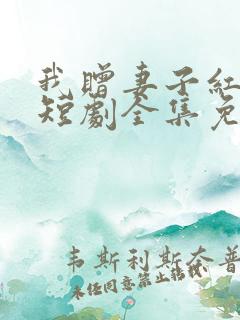 我赠妻子红缨枪短剧全集免费观看