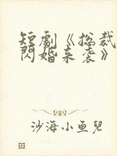 短剧《总裁有疾闪婚来袭》在线观看
