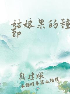 姑娘果的种植季节