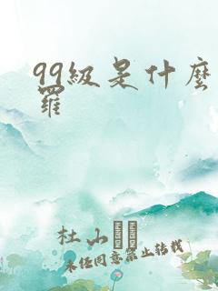 99级是什么斗罗