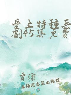 爱上特种兵电视剧45集免费观看