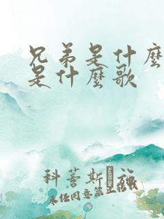 兄弟是什么歌词是什么歌