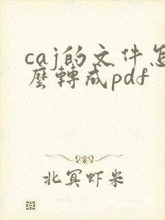 caj的文件怎么转成pdf