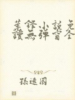 叶锋小说免费阅读无弹窗全文