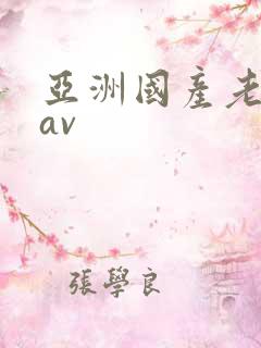 亚洲国产老女人av