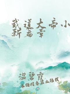 武道大帝小说最新篇章