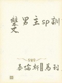 双男主sp训诫文