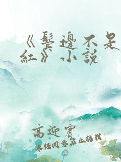 《鬓边不是海棠红》小说