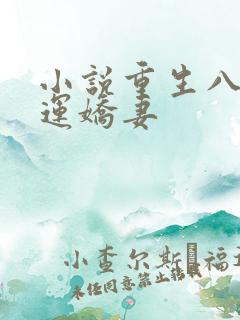 小说重生八零福运娇妻