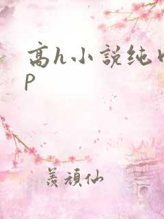 高h小说纯肉np