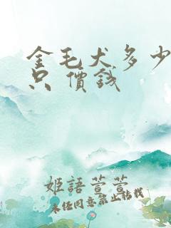 金毛犬多少钱一只 价钱