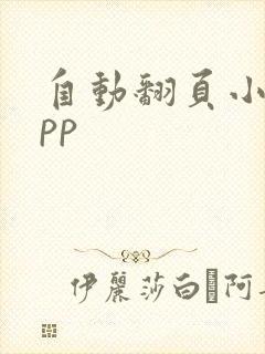 自动翻页小说app