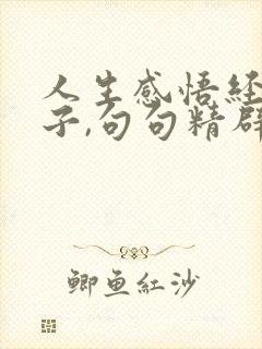 人生感悟经典句子,句句精辟入骨