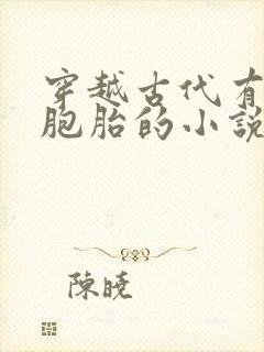 穿越古代有了四胞胎的小说