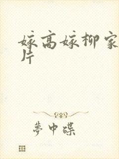 嫁高嫁柳家动画片