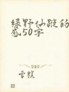 绿野仙踪的读后感50字