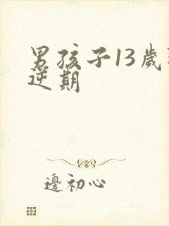男孩子13岁叛逆期