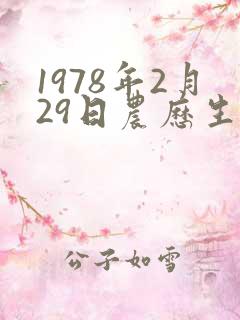 1978年2月29日农历生辰八字