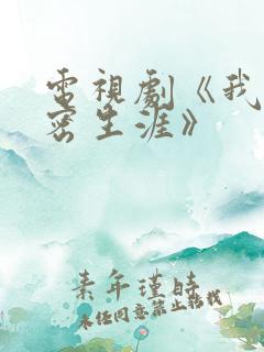 电视剧《我的绝密生涯》