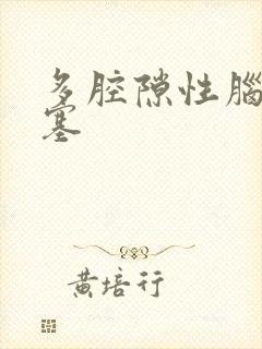多腔隙性脑内梗塞