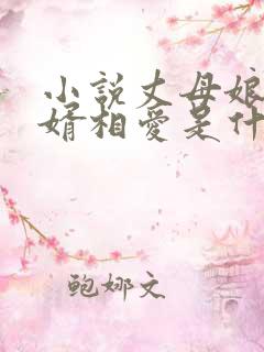 小说丈母娘和女婿相爱是什么小说
