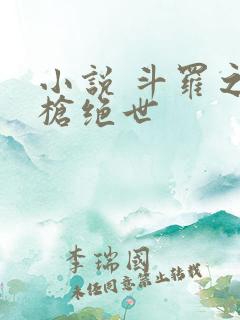 小说 斗罗之双枪绝世