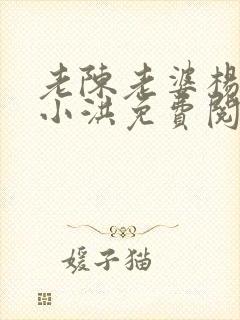 老陈老婆杨姐与小洪免费阅读