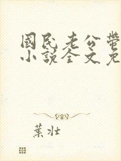 国民老公带回家小说全文免费