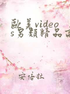欧美videos另类精品高清