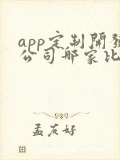 app定制开发公司哪家比较好
