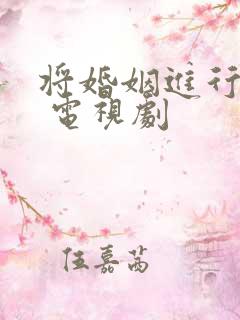 将婚姻进行到底 电视剧