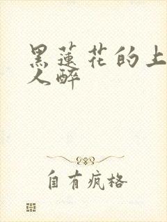 黑莲花的上位闻人醉