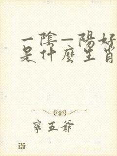 一阴—阳好发财是什么生肖