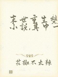 末世重生双男主小说,其中一个男主是丧尸王
