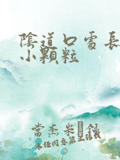 阴道口处长白色小颗粒