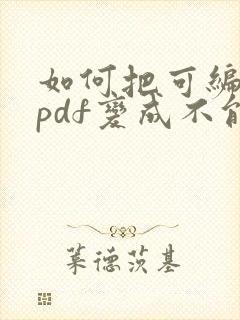 如何把可编辑的pdf变成不能编辑