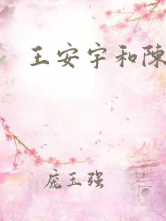 王安宇和陈飞宇