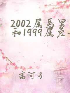 2002属马男和1999属兔女