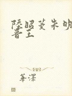 陆昭菱朱明浩和晋王