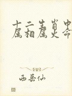 十二生肖中哪个属相属火命