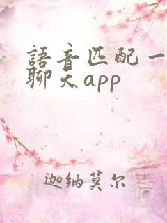 语音匹配一对一聊天app