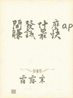 开发什么app赚钱最快