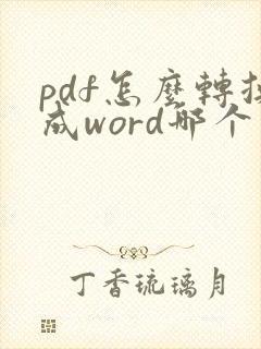 pdf怎么转换成word哪个软件好用