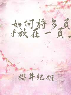如何将多页pdf放在一页上