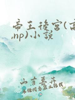 帝王后宫(高h,np)小说
