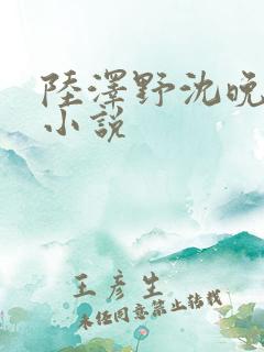 陆泽野沈晚栀的小说