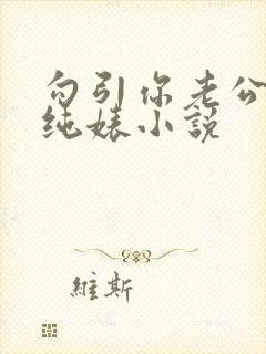 勾引你老公的清纯婊小说