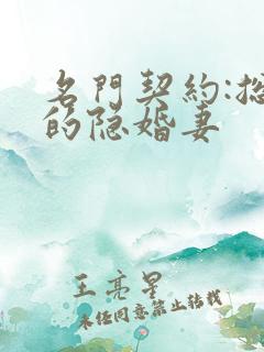 名门契约:总裁的隐婚妻